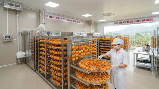 Cơ Sở Sấy Điện Hiện Đại